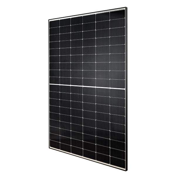 Balkonkraftwerk 800 Watt | APsystems EZ1-M Mikrowechselrichter | 2 x TENKA Bifaziales Glas Solarmodul 455W
